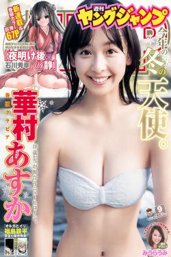 反叛的鲁鲁修第二季